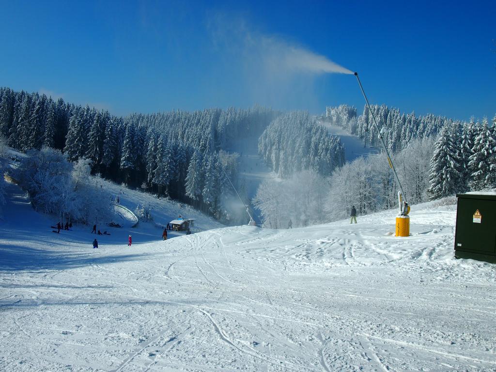 Appartement Rothaarnest à Winterberg Extérieur photo